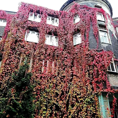 Bristol Economy 3*